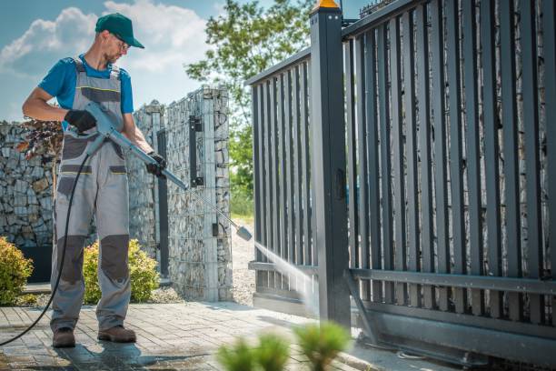 Animal Enclosure Cleaning in Summerside, OH
